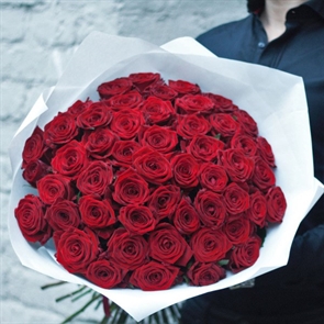 51 Красная роза 50 см