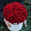 101 Красная роза в коробке - фото 4642