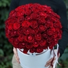 101 Красная роза в коробке - фото 4645